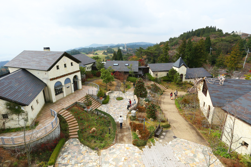 nui rokko